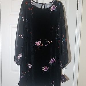 Ava & Viv black velvet dress